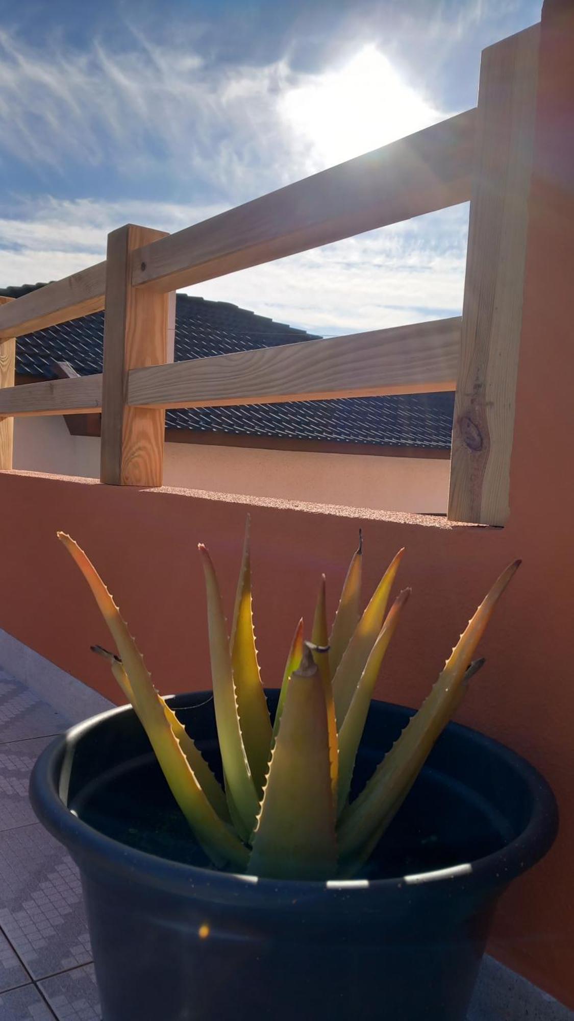 Guesthouse Beach Break Peniche Eksteriør bilde